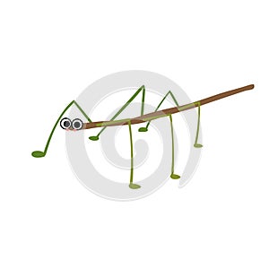 Stick Insect animal cartoon character vector illustration photo