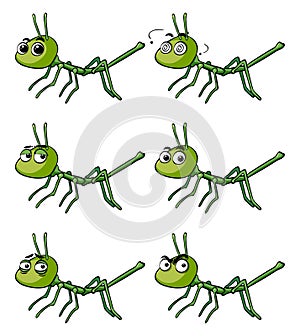Stick insect with different emotions