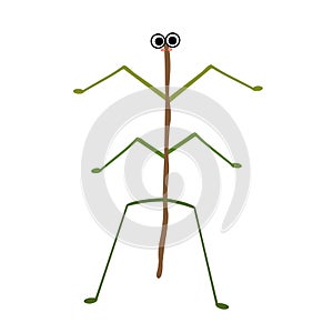 Stick Insect standing on two legs animal cartoon character vector illustration photo