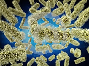 Stick shape bacteria cells