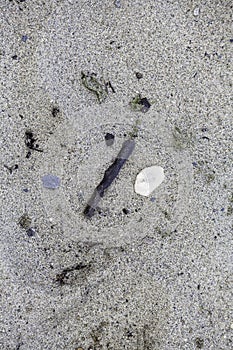 Stick and stone on sand photo
