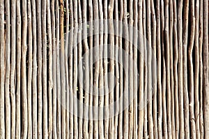 Stick white wood trunk fence tropical Mayan wall