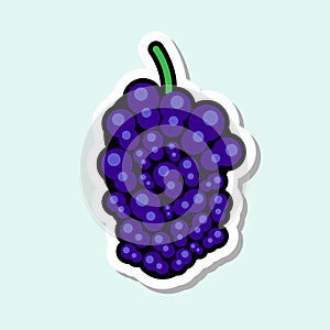 Mulberry Sticker On Blue Background Colorful Fruit Icon