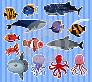 Sticker design with many sea animals