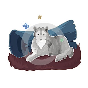 Sticker of gray calm wolf who lies, rests by the forest log.