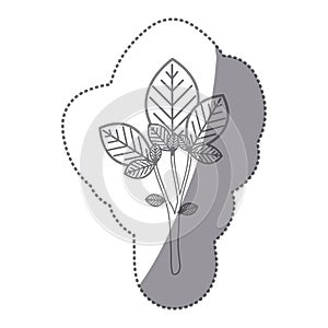 sticker gray color large ramifications with oval leaves