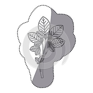 sticker gray color ramifications with oval leaves nature icon