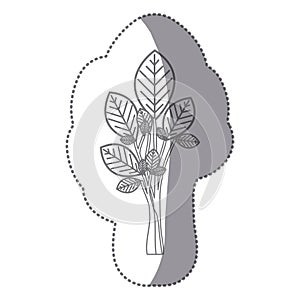 sticker gray color ramifications with oval leaves plant icon