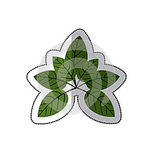 Sticker green leaves with ramifications