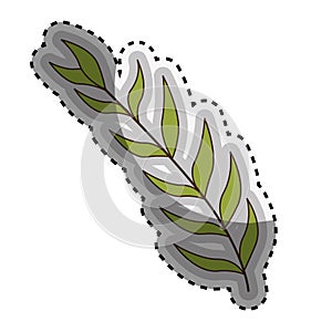 Sticker green oval leaves with ramifications