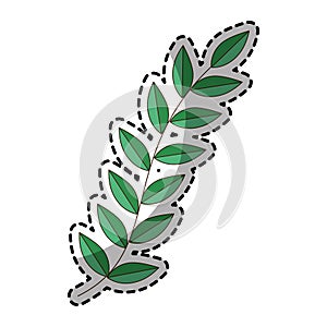 Sticker of green silhouette oval leaves with ramifications