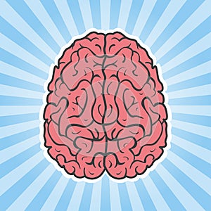Sticker Left and right hemisphere of human brain