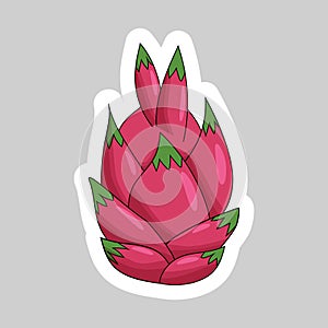 Sticker with red whole dragon fruit or pitaya, cartoon style summer tropical fruit vector