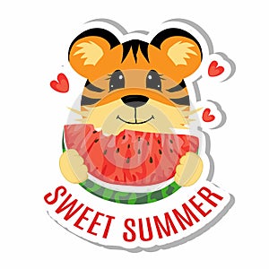 Sticker Sweet Summer. Greeting postcard. Little cute tiger is eating a slice of waterlemon