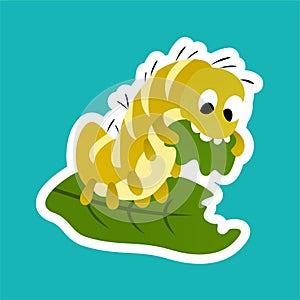 Sticker of Yellow Caterpillars Eat Leaves Cartoon, Cute Funny Character, Flat Design