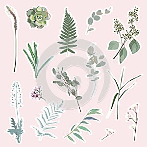 Bright style set stickers with garden herbs. Collection of isolated elements on beige background.