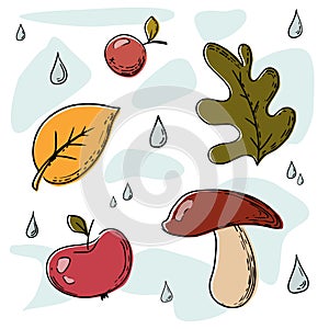 stickers on the autumn theme leaves raindrops mushroom and apple with berry