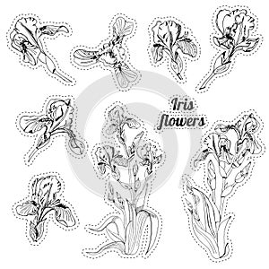 Stickers with bouquet and single buds of iris flowers. Hand drawn ink sketch. Collection of black objects.