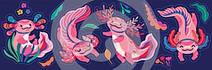 Stickers of cute pink cartoon axolotls, amphibian creatures