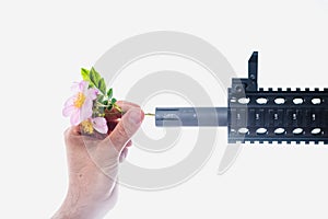 Sticking Flowers into Gun Barrel