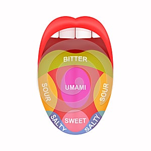 Sticking out tongue with map marked bitter, sour, salty, sweet and umami zones. Myth of human taste buds. Open human