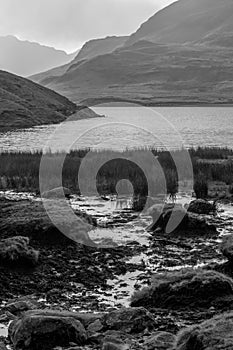 Stickle Tarn Marsh