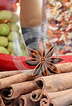 Sticks cinnamon and badian photo