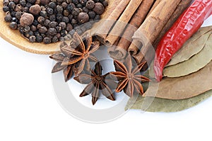 Sticks cinnamon and badian close up