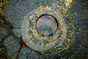 Sticks leaves manhole cover