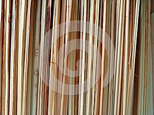 sticks from the Nipah tree, a type of palm tree. Image as background