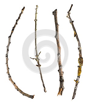 Sticks and twigs isolated on white background