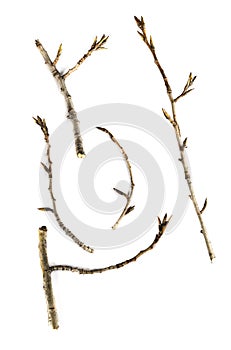 Sticks and twigs isolated on white background