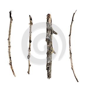 Sticks and twigs isolated on white background