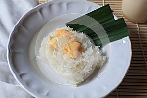 Sticky rice with durian in coconut milk. Asian Thai dessert summer tropical fruit food.