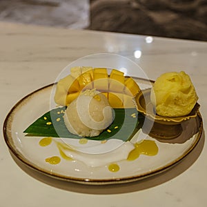 Sticky rice with mango and ice cream on a plate