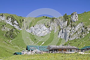 Stie mountain pasture on Brauneck