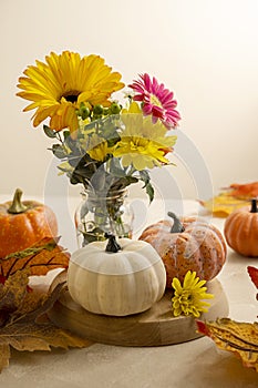 Stil life flowers and pumpkin. Bouquet of fresh flowers and decorative pumpkins. Autumn colorful arrangement. Warm neutral