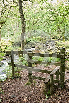 Stile in the forest