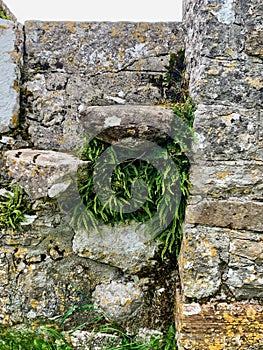 Stile in wall, Clonmacnoise Monastery, County Offaly, Ireland