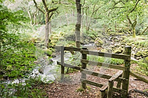 Stile in the wood