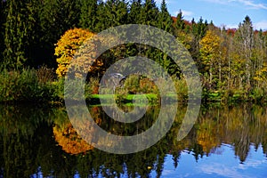 Autumn colored trees are reflected in the lake  2 photo