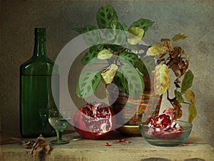 Still-life