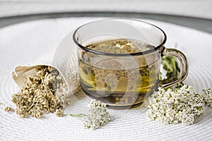 Still life of Achillea millefolium  yarrow or common yarrow herbal medicinal tea in glass with dry tea powder and fresh blossoms.