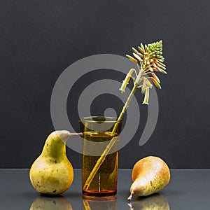 Still life with aloe vera flower in a glass of water and pears