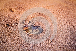 Still life - Antique rotten pocket watch buried partial in the sand at the sunset