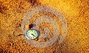 Still life - Antique rotten pocket watch and sea shell buried partial in the sand