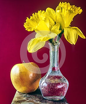 Still life of apple and dafodil