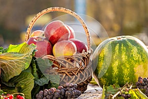 Still life of apples in a basket, watermelon and grapes_