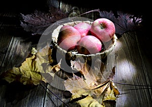 Still life with apples and leaves.