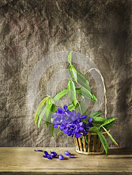 Still life art with purple flower